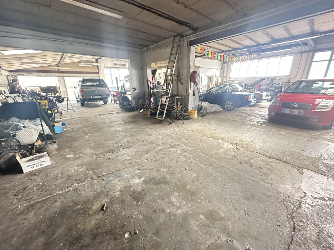 Local commercial  - 480m² - STRASBOURG STRASBOURG