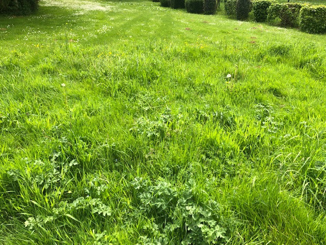 Terrain  - 2 399m² - MANTHELAN MANTHELAN