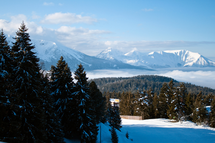 vacances au ski à chamrousse, location dans les Alpes