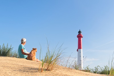 location de vacances à la palmyre