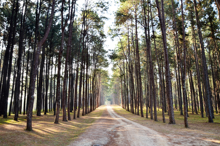 réserver vacances dans les landes