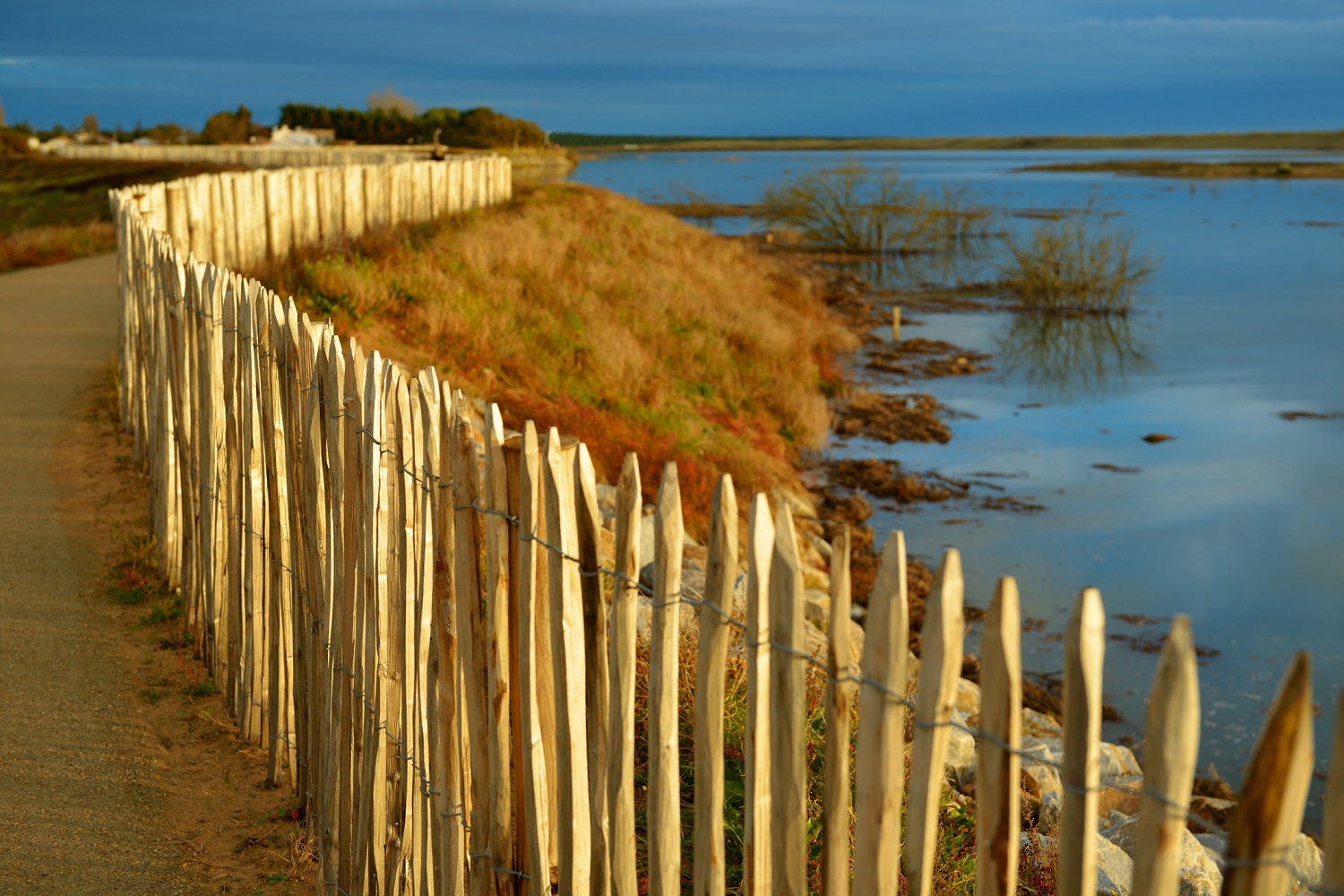 location appart vacances la tranche sur mer vendée