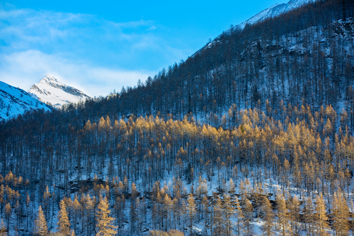 Location de vacances à Bessans, ski en Savoie